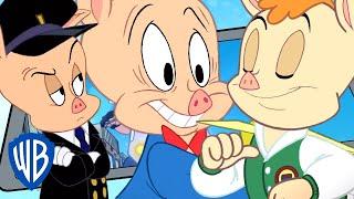 Looney Tunes auf Deutsch | Das Beste von Porky Pig | WB Kids