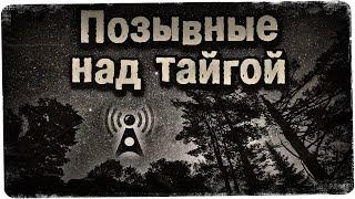 Истории на ночь: Позывные над тайгой