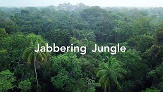 Mathematics World Series: The Jabbering Jungle | Fun active maths competition lesson | Numberfit