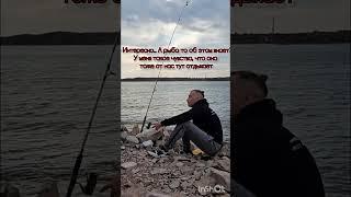 Почему не клюёт рыба? #рыбалка #fishing #fish #юмор #рыбалка2024