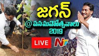 CM Jagan Live || 70th Vana Mahotsav In Guntur Dist || NTV Live