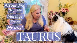 TAURUS - Sneaky People Exposed & A Very Important Key Message From My Psychic Dog!