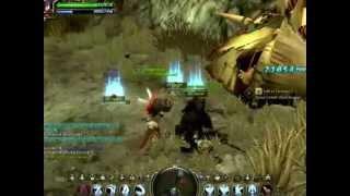 DragonNest - Defeat the Black Dragon ( AngerLus )