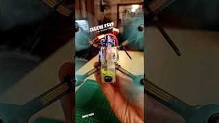 DIATONE R349 3" FPV RACE DRONE GEMFAN FLASH 3052 MAMBA COBRA 4000KV MOTORS PARAMORE RC Pete's FPV