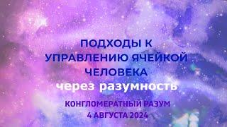 Софоос.чен.04.08.24 г. Конгломератный Разум. Подходы к управлению ячейкой человека через разумность.