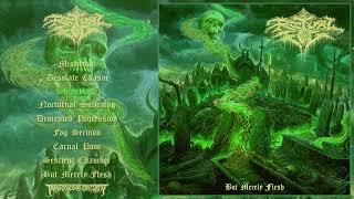 RITUAL FOG (US) - But Merely Flesh FULL STREAM ALBUM (Death/Thrash Metal) Transcending Obscurity