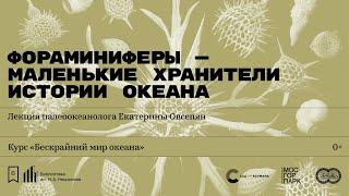 «Фораминиферы — маленькие хранители истории океана». Лекция палеоокеанолога Екатерины Овсепян