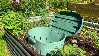 Worm Composting In Raised Garden Beds | Red Wiggler Worms for Composting In Beds | Worm Bin