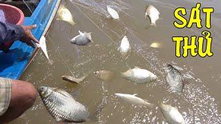 Hốt Trọn Bầy Cá Mè Khủng - BẬT THẦY Giăng Lưới Cá Mè Vinh Mùa Nước Nổi  - Đời Sống Dân Dã #239