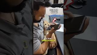 Ketika kucing kangen sama mama 