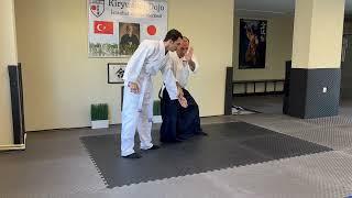 Yeni başlayanlar için temel aikido teknikleri