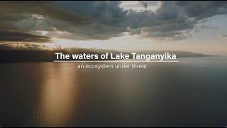 The water of Lake Tanganyika , an ecosystem under threat