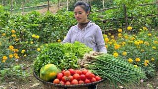 Harvest coriander, onions, lettuce, papaya, and tomatoes to sell at the market