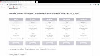 Франшиза UVC Exchange  Полный разбор