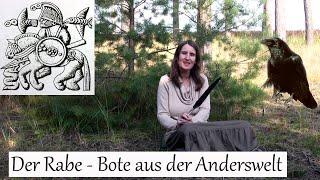 Der Rabe - Bote aus der Anderswelt