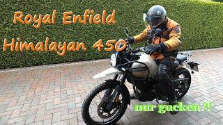 Erster Eindruck von der neuen Royal Enfield Himalayan 450