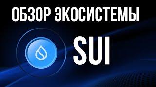 SUI: ОБЗОР ЭКОСИСТЕМЫ! КОШЕЛЕК, DEX, ЛИКВИДНОСТЬ, ЗАЙМЫ, ПРИБЫЛЬНЫЕ СТРАТЕГИИ ФАРМА!