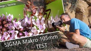 Das schärfste Makro Objektiv?  SIGMA 105mm F2.8 DG DN MACRO | ART | Test