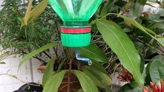 Soda Bottle Watering Sistem Make a Sustainable Drip Water Irrigation