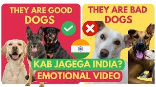Why Indian Dog Are Better Than Any Foreign Breed | Independence Day Special #tuc