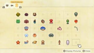 Animal Crossing new horizons summer update, all sea creatures available in July. No commentary.