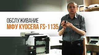 KYOCERA FS-1135. Обслуживание | Трудяга ТВ