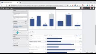 How to Use Facebook Audience Insights Tool