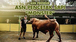 ASN Punya Usaha Sampingan Penggemukan Sapi Super! Hasil Maksimal Untung Melimpah.