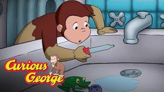 Curious George   All Out of Water   Kids Cartoon   Kids Movies  Videos for Kids