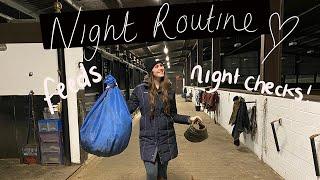 NIGHT ROUTINE...equestrian edition