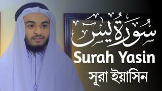 Heart Touching Quran Recitation || Surah Yasin || Hafez Kamrul Alom