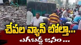 చేపల వ్యాన్ బోల్తా... ఎగబడ్డ జనం ... |  Fish Van Overturned | SumanTv Vizag