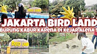 Alena Jalan-jalan ke Jakarta Bird Land Bersama Keluarga Besar/Burung-burung kabur di kejar Alena !!