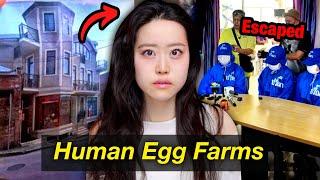 100 Women Kept as Slaves in “Human Egg Farm” For Egg Harvesting