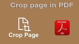 How to Crop Page of PDF Document in Adobe Acrobat Pro