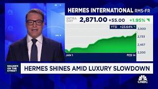 Hermes shines amid luxury slowdown