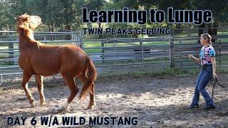 Learning to Lunge | Twin Peaks 2023 Day 6