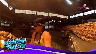 Archana के Tank में डाले गए अजगर  | Khatron Ke Khiladi S13 | ख़तरों के खिलाडी S13