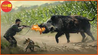 Bí Mật Sốc! Thợ Săn Nga TIÊU DIỆT HÀNG TRIỆU Lợn Rừng Bằng Cách Nào?