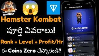 Hamster Kombat పూర్తి వివరాలు|Hamster Kombat Profit Per Hour Useful Or Not|Hamster Airdrop In Telugu
