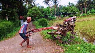 Bajak Sawah Pagi..!!! Traktor Sawah Bekerja Mempersiapkan Pekerjaan Di Pagi Hari