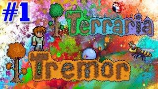Father And Son Play : Terraria 1.3 | Tremor Mod | Gameplay/Walkthrough Part 1 (Things Be Different)