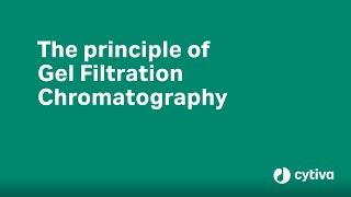 Principles of gel filtration chromatography/ size exclusion chromatography
