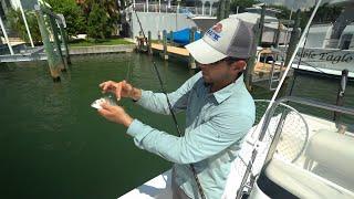 Two Tips for using Live Pinfish for Bait