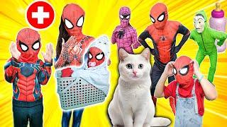 Top New Pro 9 SPIDER-MAN in 1 House?? KID SPIDER MAN Leave Spider-man's House  ( All Action, Funny )