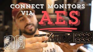 How to Connect Studio Monitors Via AES (Digital Monitoring)