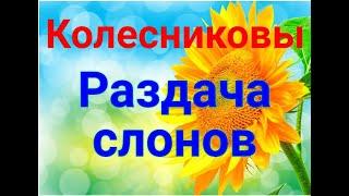 Колесниковы/Раздача слонов/Обзор влогов