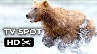 Bears TV SPOT - Inspire Review (2013) - Disneynature Documentary HD