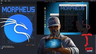 Morphues TCP/IP Tool Expert Shares Top Kali Linux Installation Secrets