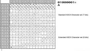 Ascii video . what is ascii?